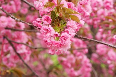 杭州西湖区1线下个人借款平台一站式服务，轻松解决资金难题