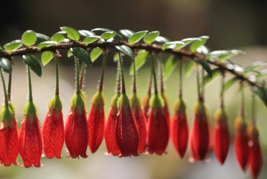 杭州西湖区1零用贷短借：轻松解决临时资金需求