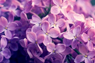 杭州西湖区1企业急用钱贷款攻略：快速融资解燃眉之急